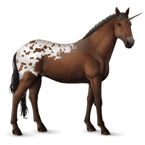 jednorożec wierzchowy mustang ciemnogniada