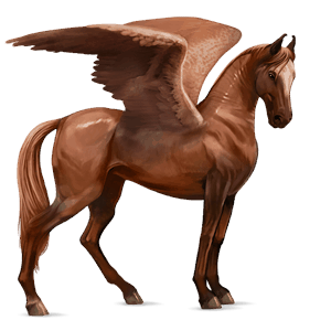 pegaz wierzchowy quarter horse kasztanowata