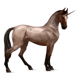 jednorożec wierzchowy appaloosa ciemnogniada derka z plamkami