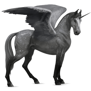 skrzydlaty jednorożec wierzchowy quarter horse siwa jabłkowita