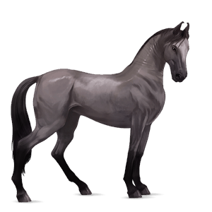 koń wierzchowy koń hanowerski jasnokasztanowata