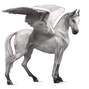 pegaz wierzchowy tennessee walker jasnosiwa