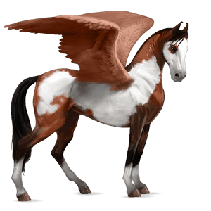 pegaz wierzchowy mustang jasnosiwa