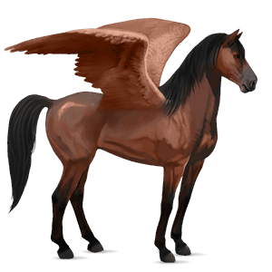 pegaz wierzchowy mustang gniada