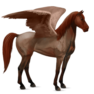 pegaz wierzchowy mustang kara