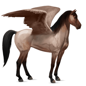 pegaz wierzchowy mustang dereszowata