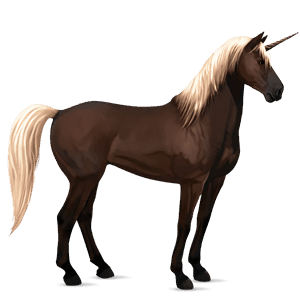 jednorożec wierzchowy mustang skarogniada