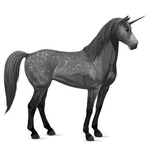 jednorożec wierzchowy quarter horse siwa jabłkowita