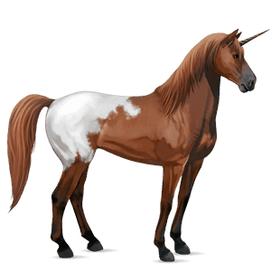 jednorożec wierzchowy mustang kasztanowata derka