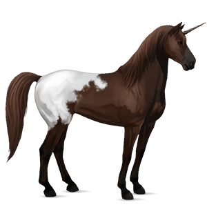 jednorożec wierzchowy mustang kasztanowata derka