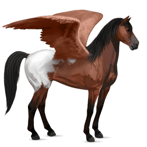 pegaz wierzchowy mustang myszata