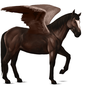 pegaz wierzchowy mustang kasztanowata