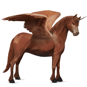 skrzydlaty jednorożec kuc  haflinger jasnokasztanowata