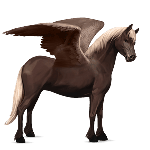 pegaz kuc haflinger jasnokasztanowata