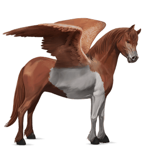 pegaz wierzchowy tennessee walker cremello