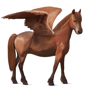 pegaz kuc haflinger jasnokasztanowata