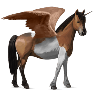 skrzydlaty jednorożec kuc  haflinger jasnokasztanowata