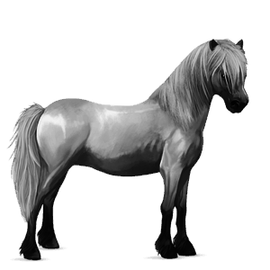 kuc haflinger brudnokasztanowata