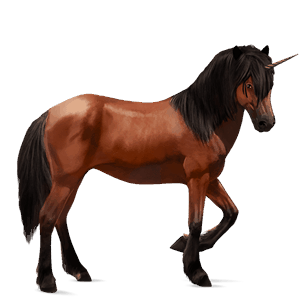 jednorożec wierzchowy mustang kasztanowata