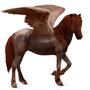pegaz wierzchowy appaloosa ciemnogniada derka