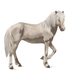 koń wierzchowy koń hanowerski jasnokasztanowata
