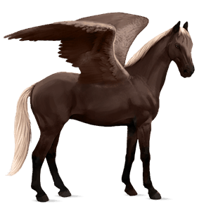 pegaz wierzchowy quarter horse ciemnokasztanowata