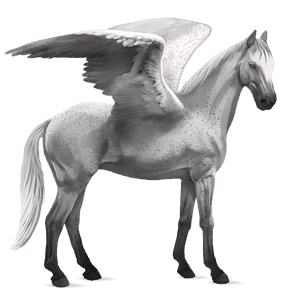 pegaz wierzchowy tennessee walker kasztanowata
