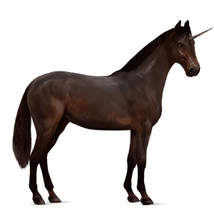 jednorożec wierzchowy tennessee walker skarogniada