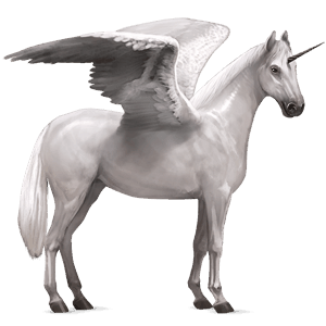 skrzydlaty jednorożec wierzchowy camargue jasnosiwa