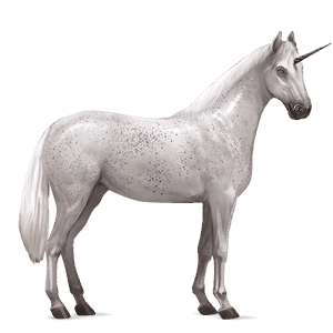 jednorożec wierzchowy camargue siwa w hreczce