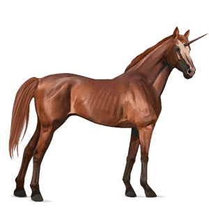 jednorożec wierzchowy tennessee walker gniada