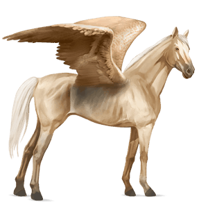 pegaz wierzchowy quarter horse ciemnokasztanowata