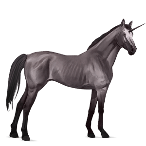 jednorożec wierzchowy appaloosa kara derka