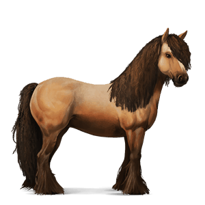 koń wierzchowy mustang kasztanowata derka