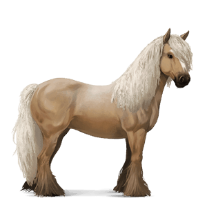 koń wierzchowy mustang kasztanowatodereszowata