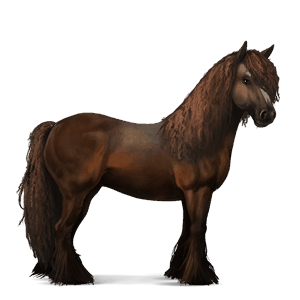 koń wierzchowy mustang kasztanowatodereszowata