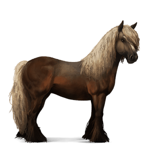 koń wierzchowy quarter horse cremello