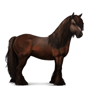 koń wierzchowy tennessee walker skarogniada