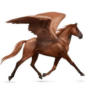 pegaz wierzchowy mustang dereszowata