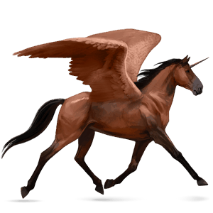 skrzydlaty jednorożec wierzchowy quarter horse gniada