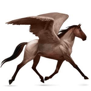 pegaz wierzchowy tennessee walker gniada