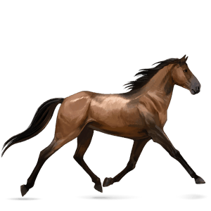 koń wierzchowy tennessee walker gniada