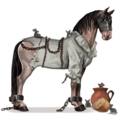 koń wierzchowy maść konia Żelazna maska