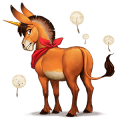 koń wierzchowy quarter horse skarogniada