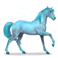 koń tęczy lovely blue