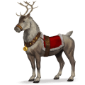 boski koń blitzen 