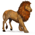 koń z dzikiej kolekcji lew afrykański