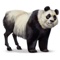 koń z dzikiej kolekcji panda