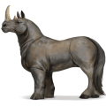 koń z dzikiej kolekcji nosorożec