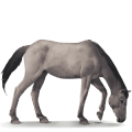 koń z dzikiej kolekcji konik dulmeński